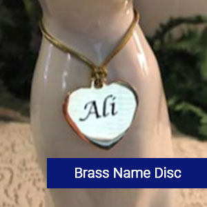 Brass name disc tag for pet identification
