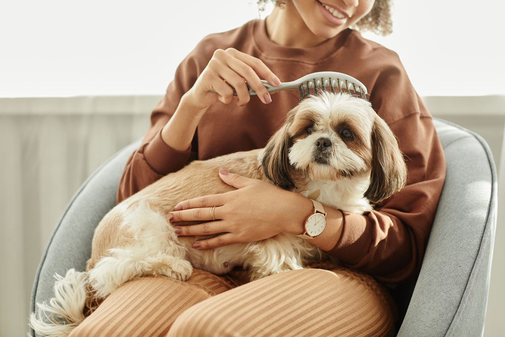 Veterinarian calmly caring for a relaxed pet, demonstrating gentle and attentive veterinary care