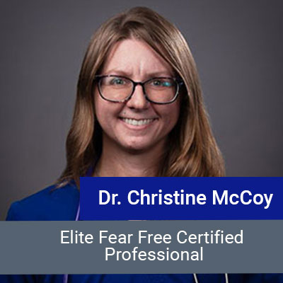 Dr. McCoy, veterinarian at Star of Texas Veterinary Hospital in Austin, TX
