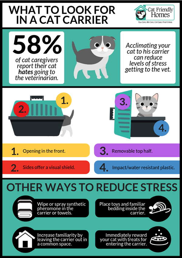 Recommended cat carriers for stress-free veterinary visits at Star of Texas Veterinary Hospital
