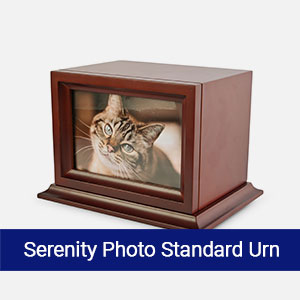 Serenity photo standard pet cremation urn with personalized photo for pet memorial services Austin TX
