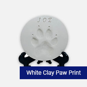 White clay paw print keepsake memorial for pets at Star of Texas Veterinary Hospital Austin TX
