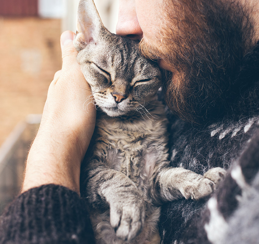 Bearded man in a knit sweater holding and comforting a pet, supporting quality-of-life care
