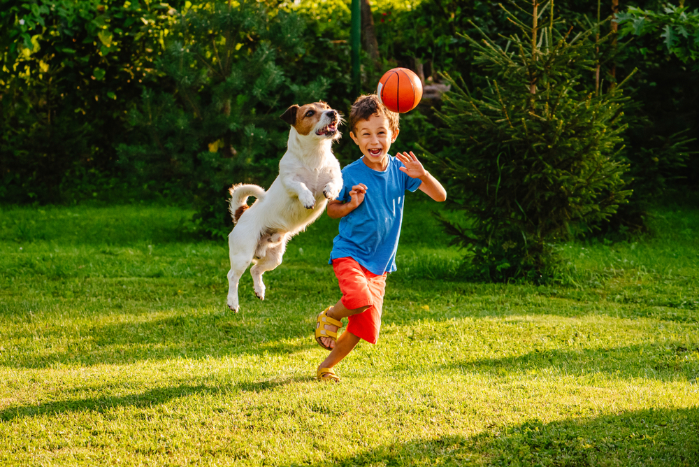 Happy family playing outdoors with their dog and a basketball ball in the yard