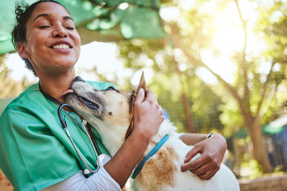 Happy veterinarian and vet nurse examining a dog outdoors — Star of Texas Veterinary team