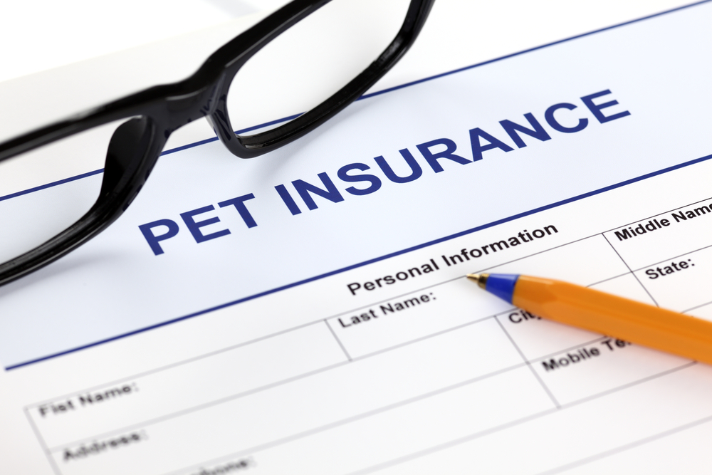 Pet insurance claim form with glasses and pen, helping Austin pet owners manage veterinary costs