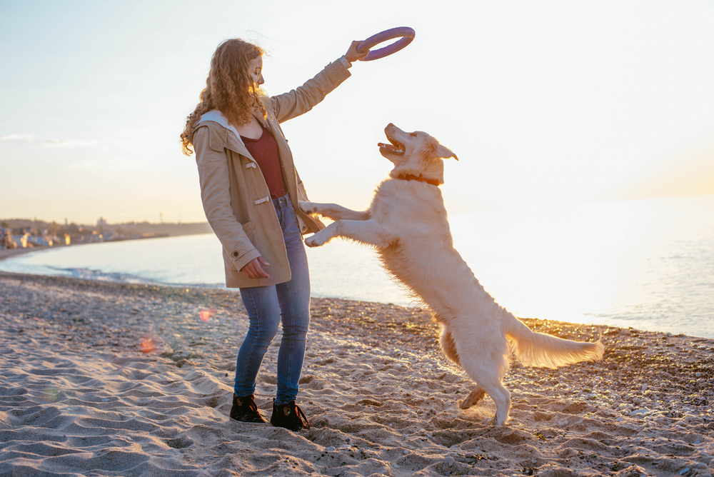 Woman playing with her golden retriever on the beach at sunset — dog care and wellness in Austin, TX