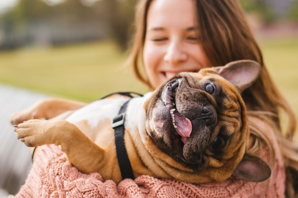 Small dog enjoying a day at the park with its owner, promoting pet wellness and exercise
