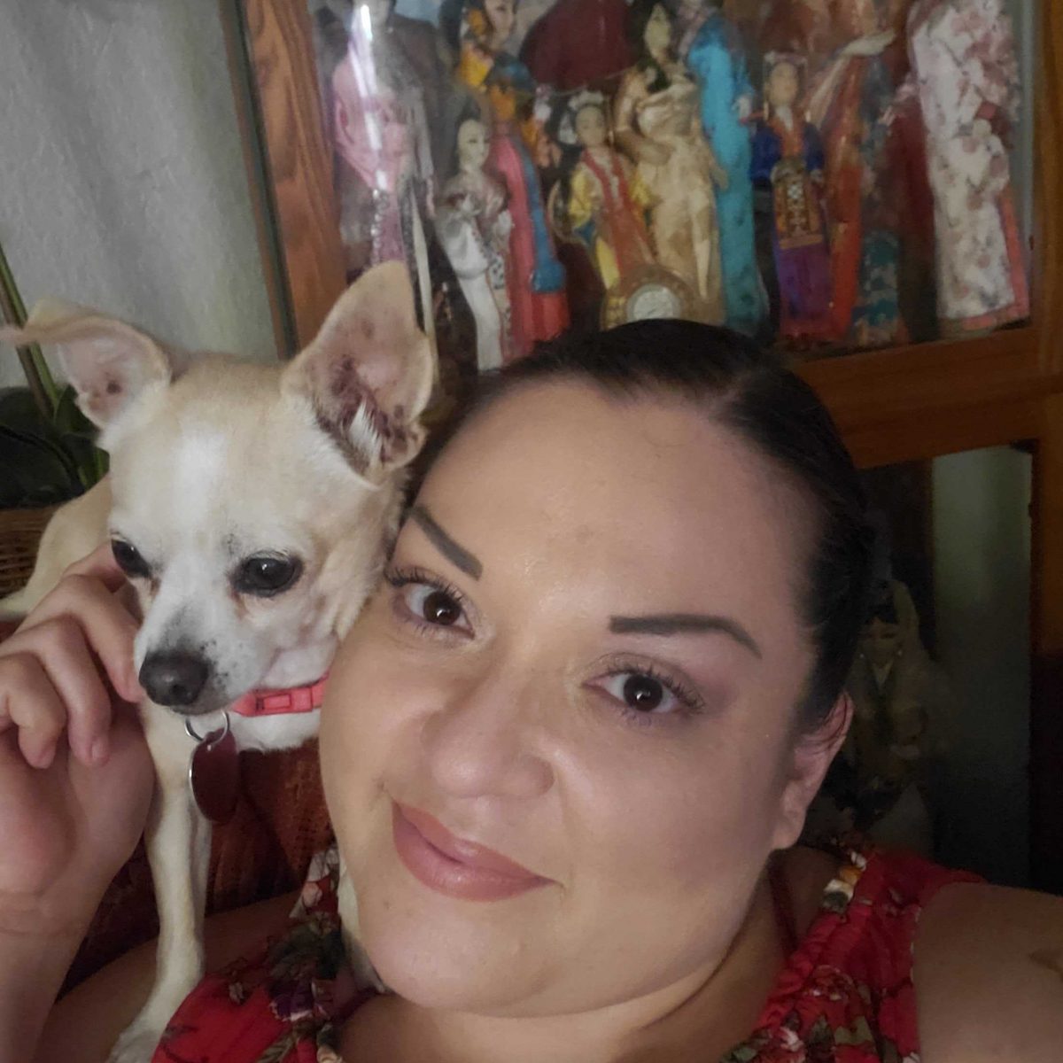 Star of Texas Veterinary Hospital Stars Meet Our Veterinary