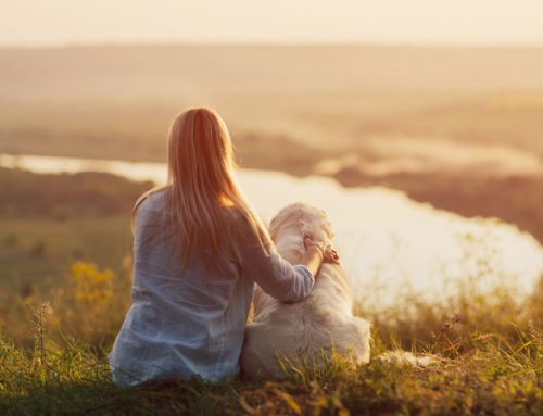 What Texas Trail Hazards Can Actually Hurt Your Dog on a Hike?