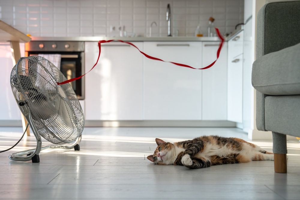 A calico cat lies comfortably on the kitchen floor, looking up at a long red ribbon blowing in the air stream of a metal floor fan.